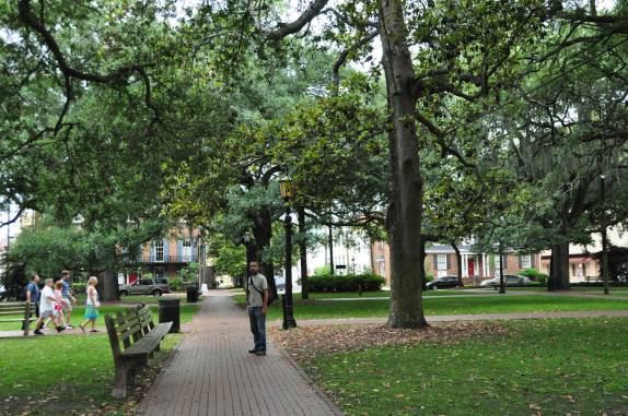 Caminhando em parque de Savannah, na Georgia - EUA